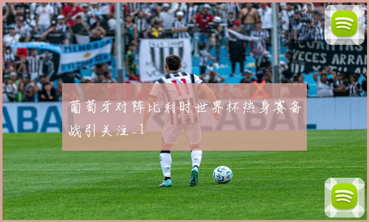 葡萄牙对阵比利时世界杯热身赛备战引关注_1