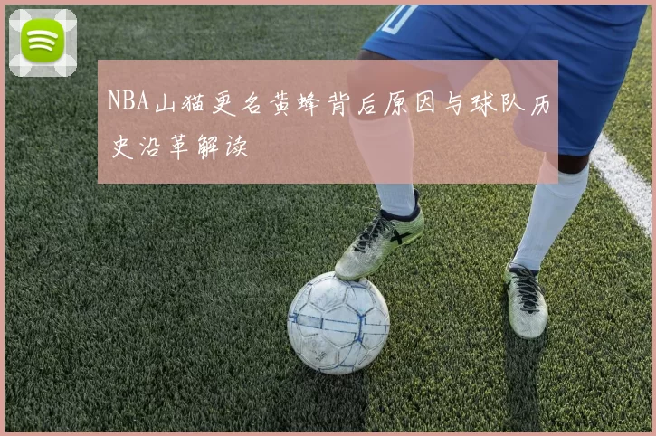 NBA山猫更名黄蜂背后原因与球队历史沿革解读