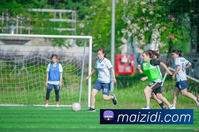 多媒体互动体验